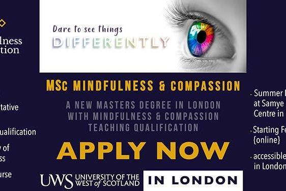 MSc Mindfulness and Compassion