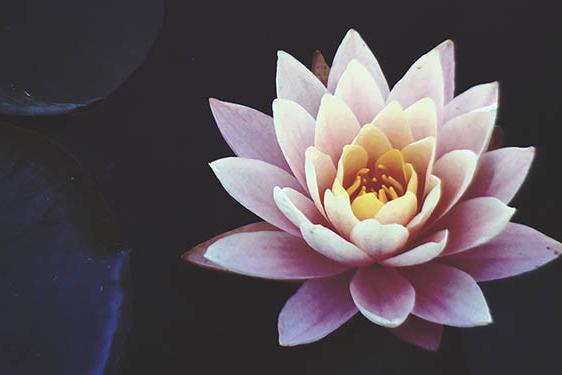 beneficial or egocentric