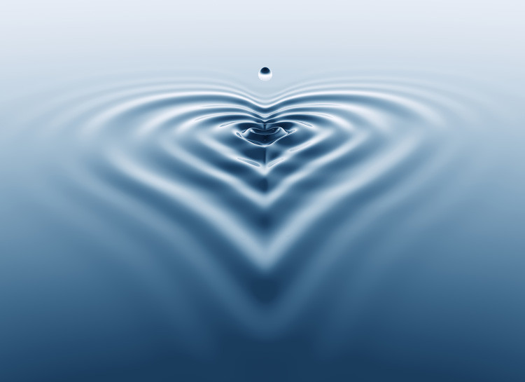 widen the circles of compassion