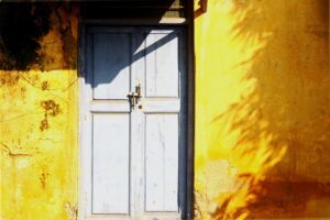 Throw the doors wide open - Jane O'Shea