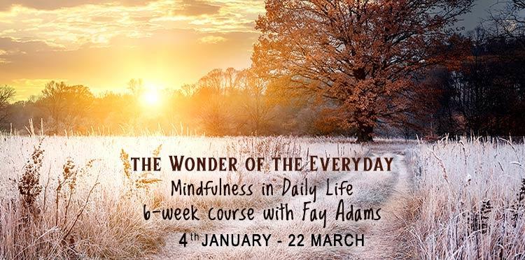 The Wonder of the Everyday