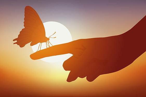 learning to teach recognising the unsettled mind