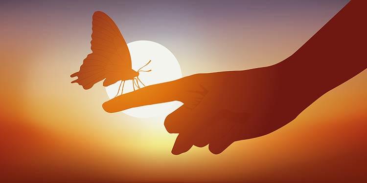 learning to teach recognising the unsettled mind