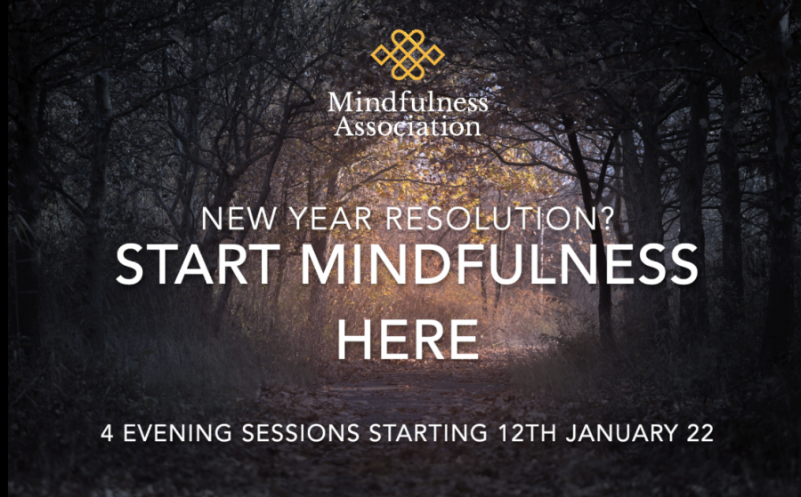 Mindfulness Level 1