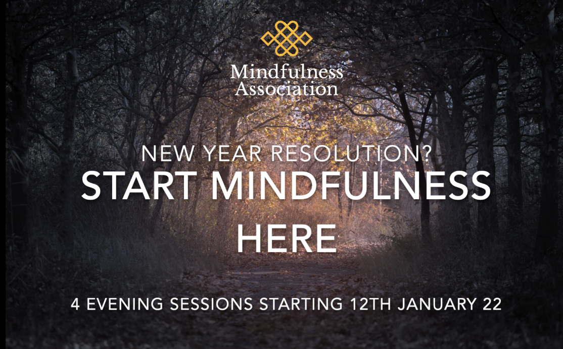 Mindfulness Level 1