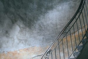 The patience of ordinary things - Pat Schneider