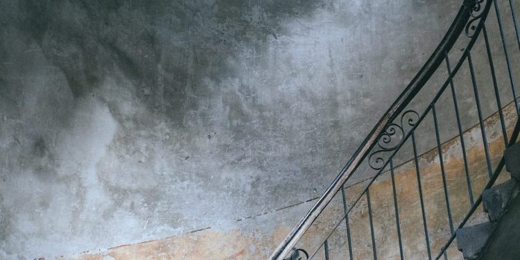 The patience of ordinary things - Pat Schneider