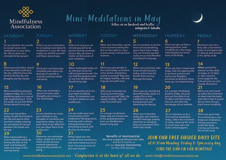 mini meditations in may