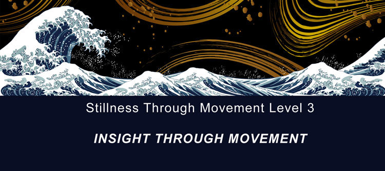 Insight-Through-Movement