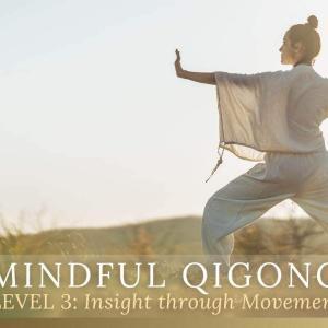 mindful qigong level 3 insight