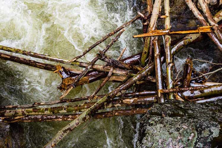 MENTAL LOGJAM