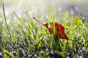 mindful-turning-points