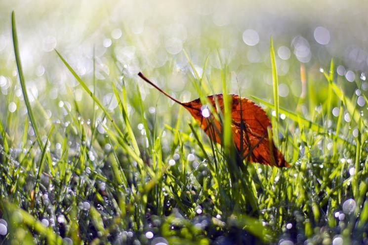 mindful-turning-points