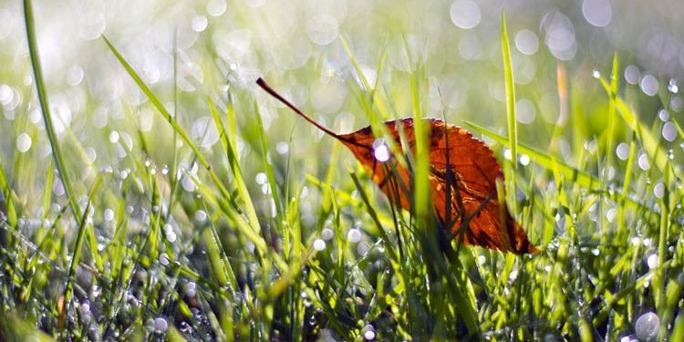 mindful-turning-points