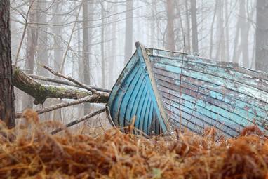 paradox-Danna-Faulds