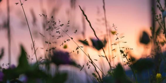 Mindfully Living