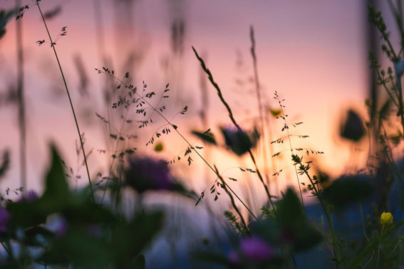 Mindfully Living
