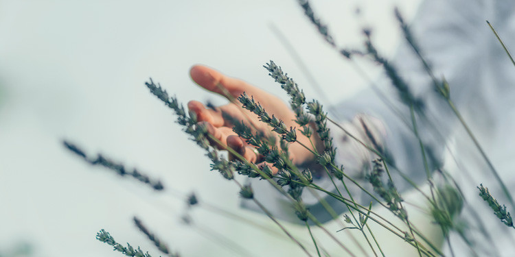 Mindfulness-in-nature-weekend