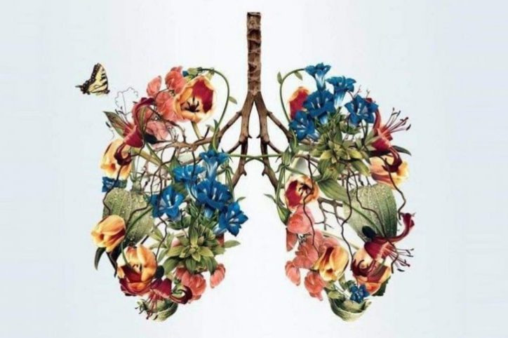 My brain and heart divorced - John Roedel