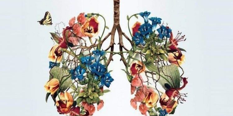 My brain and heart divorced - John Roedel