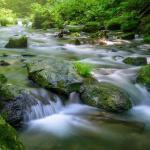 mindfulness-and-movement-in-nature