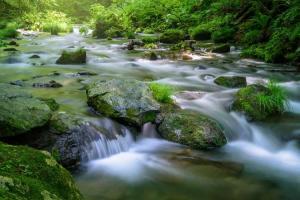 mindfulness-and-movement-in-nature