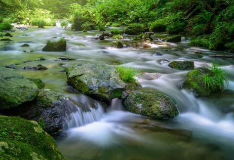 mindfulness-and-movement-in-nature
