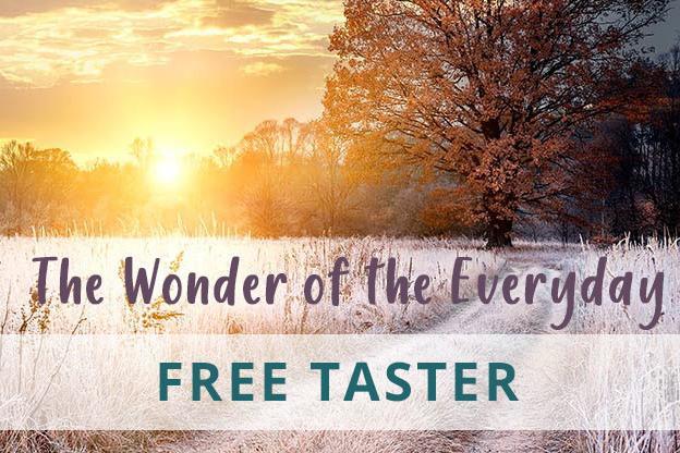 WONDER OF THE EVERYDAY TASTER