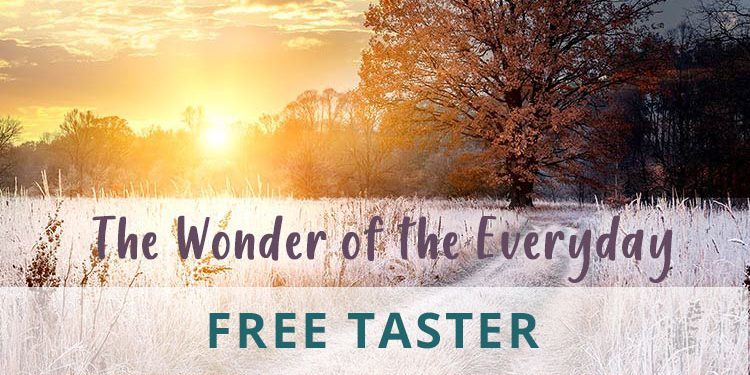 WONDER OF THE EVERYDAY TASTER