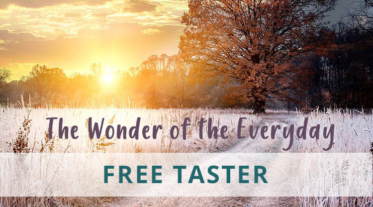 WONDER OF THE EVERYDAY TASTER