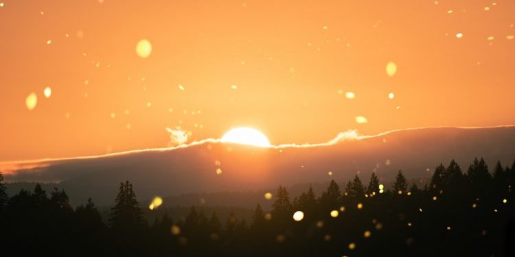 how the light comes - Jan Richardson