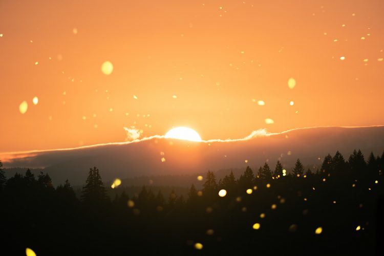 how the light comes - Jan Richardson