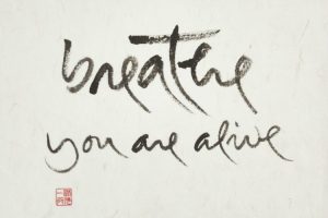 no-coming, no-going - Thich Nhat Hanh