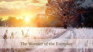 X-THE-WONDER-OF-THE-EVERYDAY