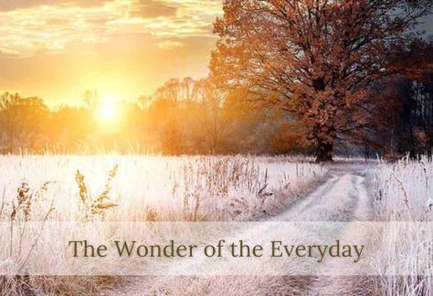 X-THE-WONDER-OF-THE-EVERYDAY