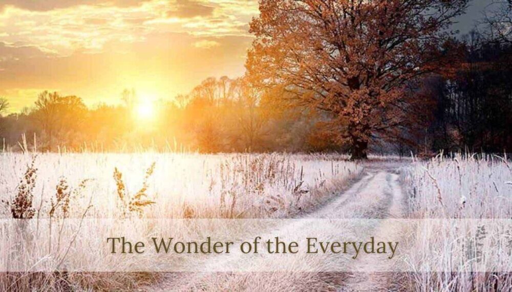 X-THE-WONDER-OF-THE-EVERYDAY