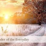 the-wonder-of-the-everyday-1000