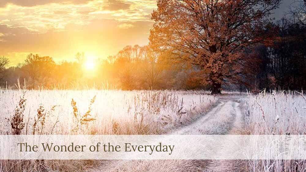 the-wonder-of-the-everyday-1000
