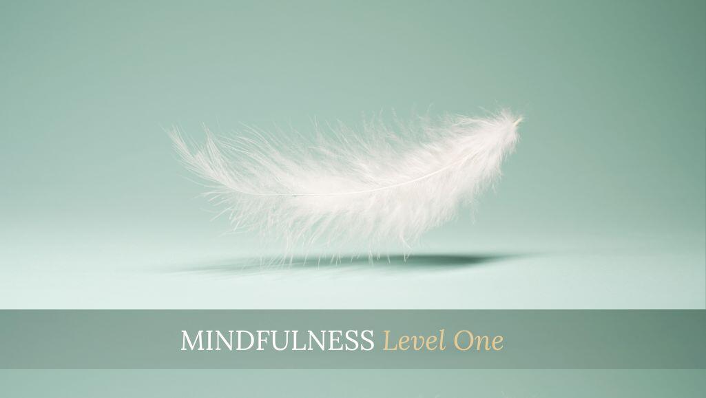Mindfulness Level One