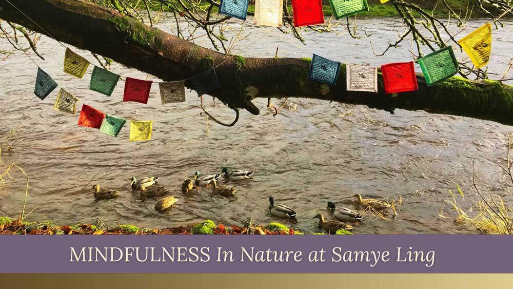 MINDFUNESS-IN-NATURE