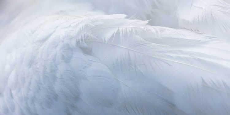 On pain - Kahlil Gibran