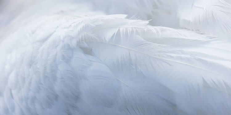 On-pain-Kahlil-Gibran On-pain-Kahlil-Gibran