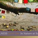 mindfulness-level-one-in-nature-3