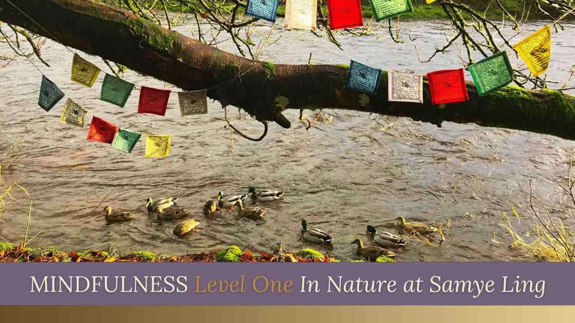 mindfulness-level-one-in-nature-3