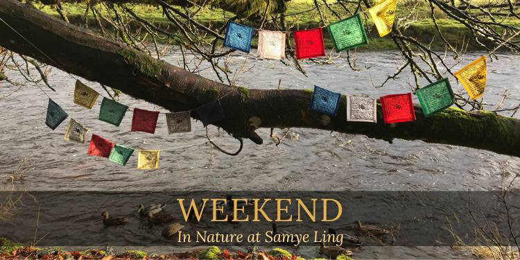 mindfulness-and-movement-in-nature-at-Samye-Ling