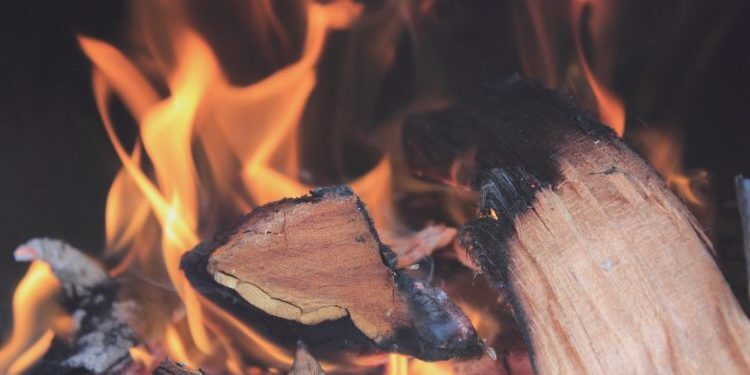 Fire - Judy Brown