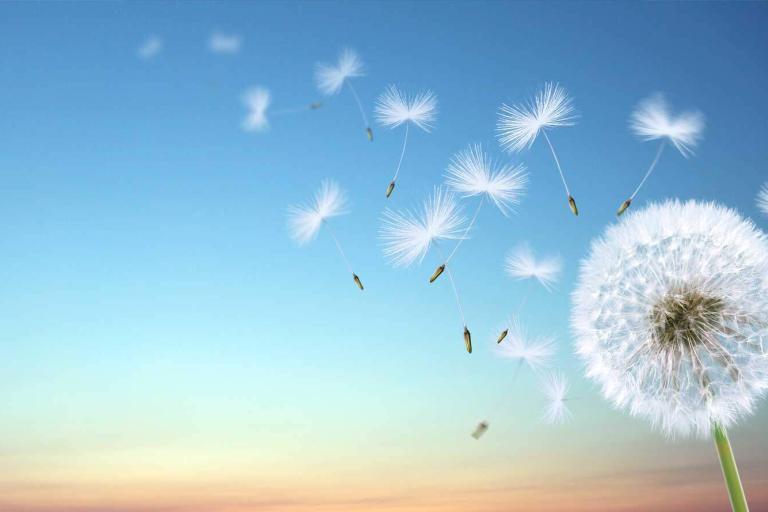 mindfulness-teaching-skills