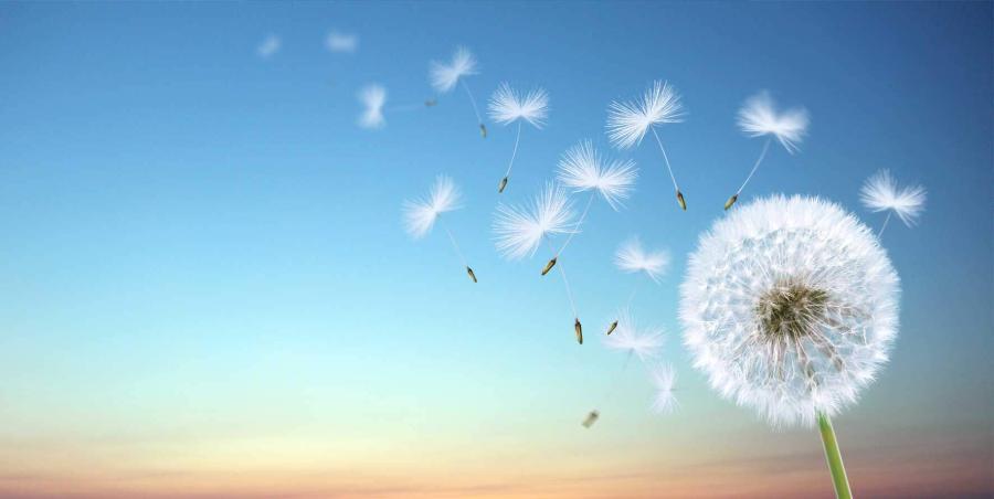 mindfulness-teaching-skills