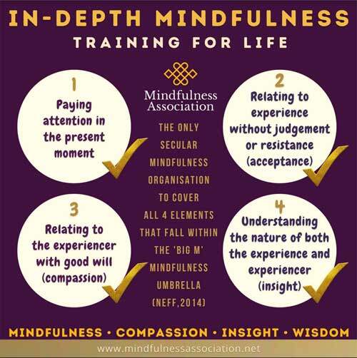 In Depth Mindfulness Training