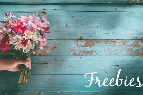 Mindfulness Freebies